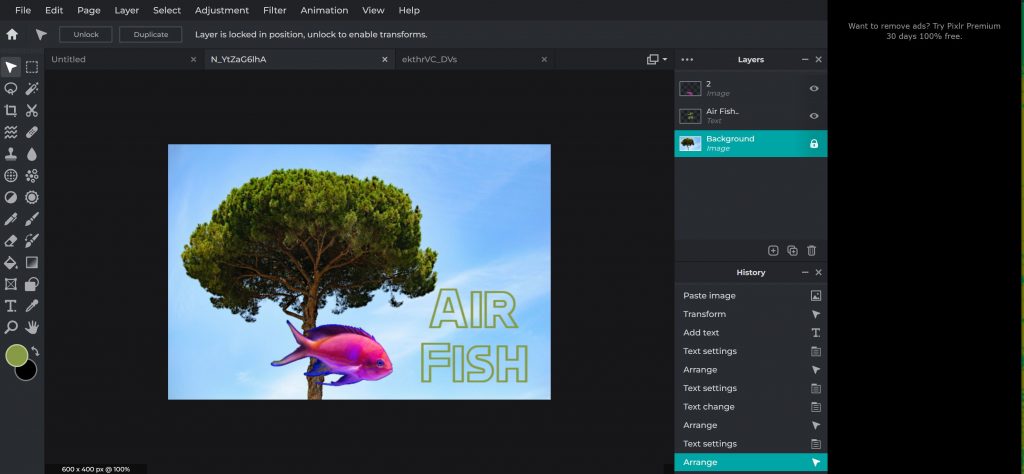 Pixlr E: A Photo Editor in the Cloud