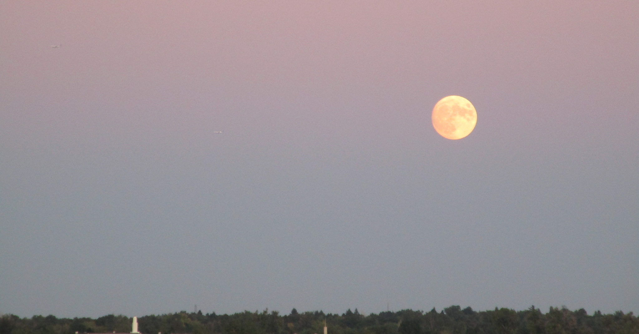 A large golden full moon rises in a pale evening sky above a dark tree-lined horizon